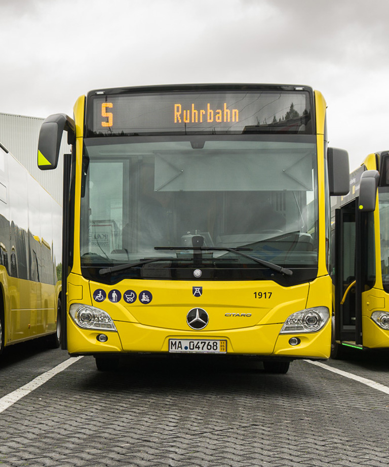 Bus