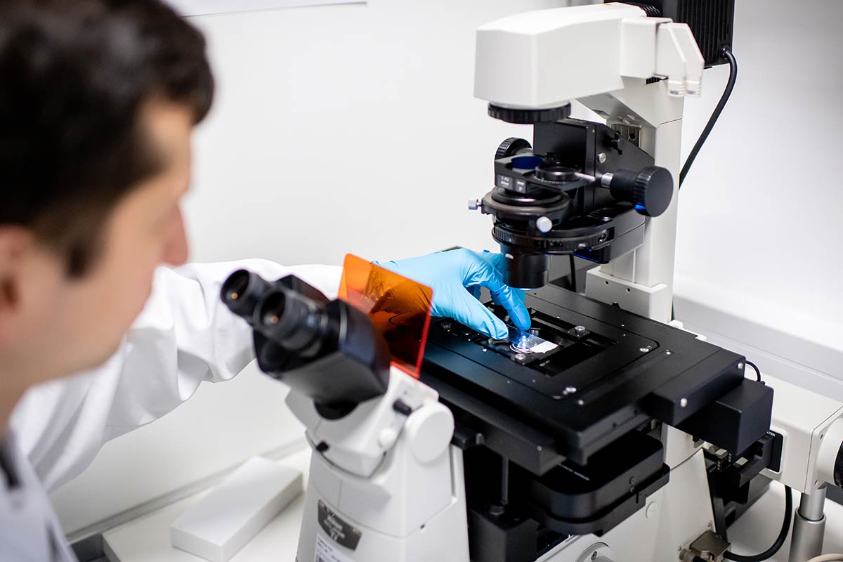 Nur unter dem Mikroskop sichtbar: Nanopartikel sind bis zu ein milliardstel Meter klein.