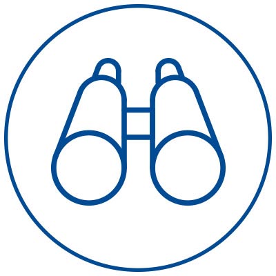 Icon: Fernglas